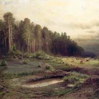 Пейзаж «Лосиный остров в Сокольниках»