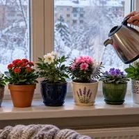Кипяток и цветы