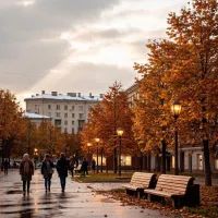 Осень, арт