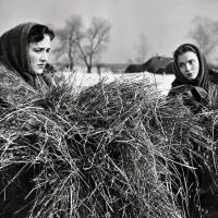Кадр из фильма "Простая история"