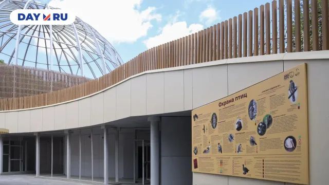 Новый дом для птиц