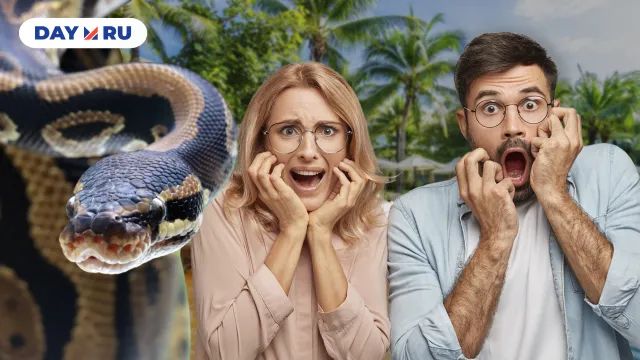 боятся змей