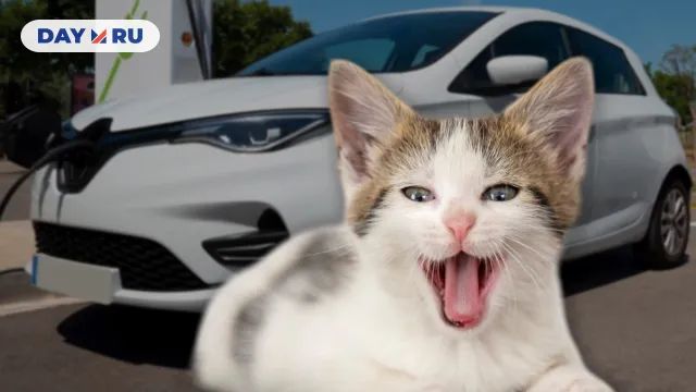 коть