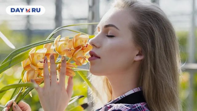 запах