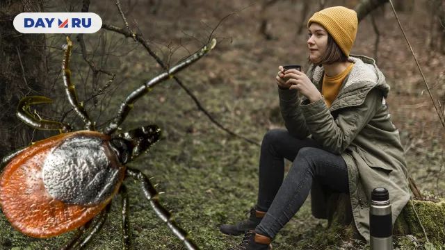 Клещи наступают Клещи наступают