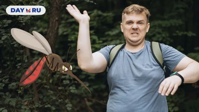 Комар