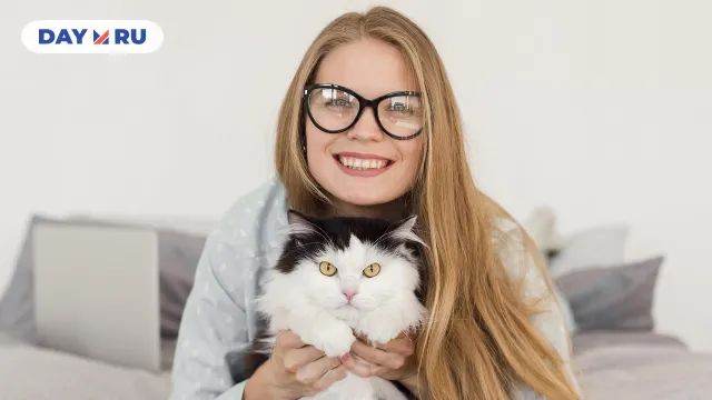 Домашний питомец Домашний питомец