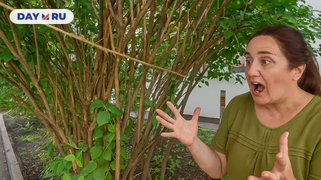 Женщина недовольна кустами