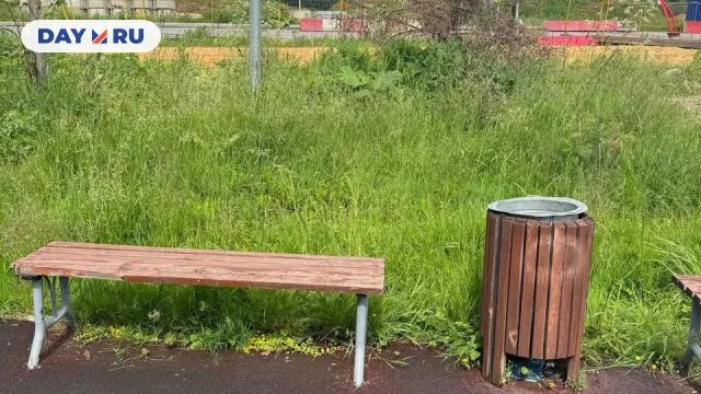 «Коммунарка зарастает»: в парках и дворах — бурьян, борщевик и змеи