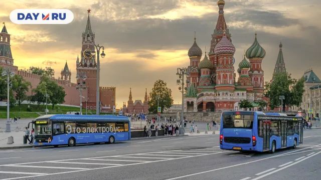 Автобусы