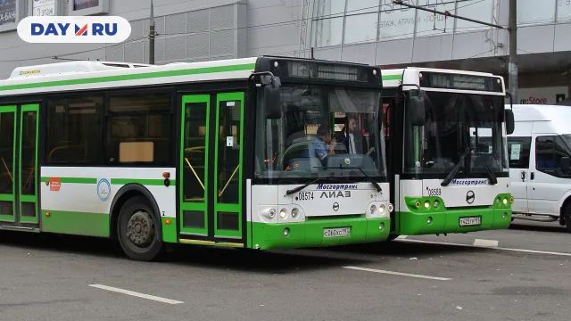 Автобусы Автобусы