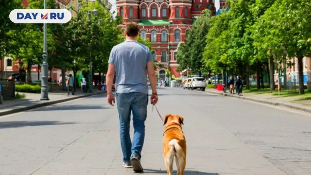 нейросеть