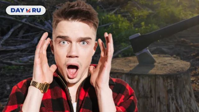 Вырубка деревьев Вырубка деревьев