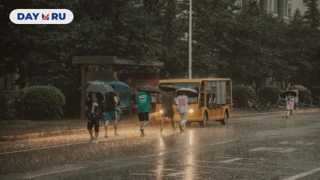 Дождь, город, люди, автобус