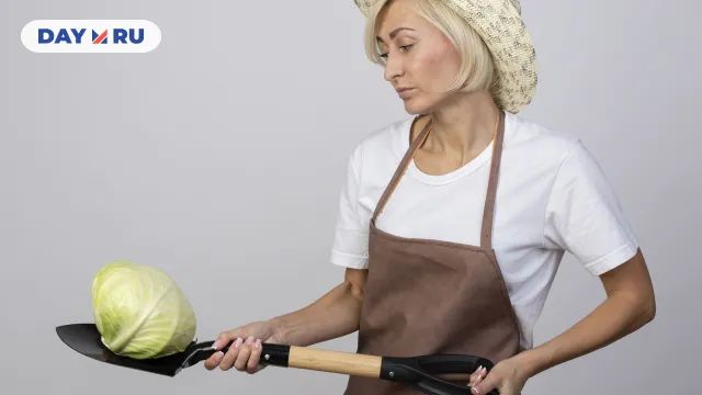 Приготовление капусты