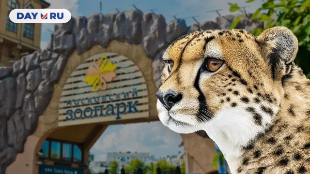 Московский зоопарк Московский зоопарк