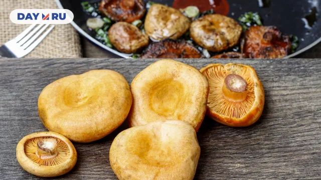 Рыжики Рыжики