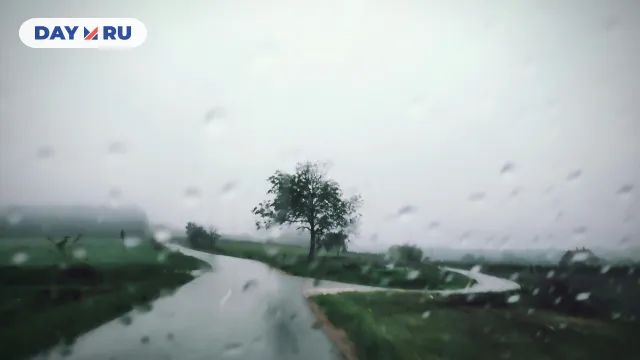 погода погода