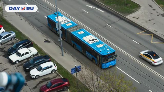 Автобусы
