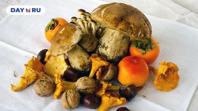 Грибы