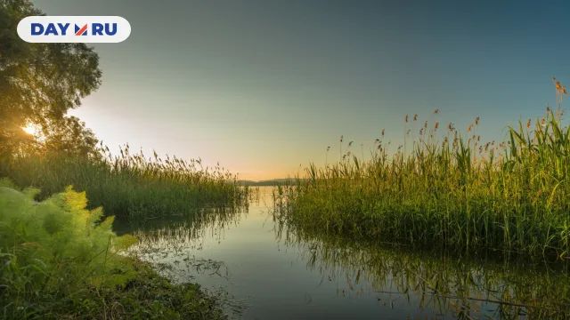 Река