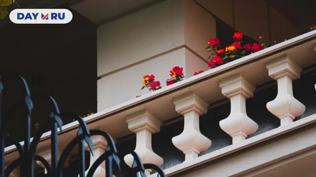 цветы на балконе цветы на балконе
