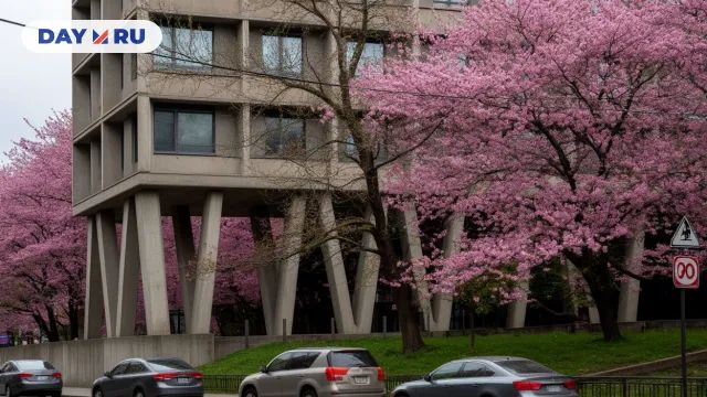 Дом на ножках, арт