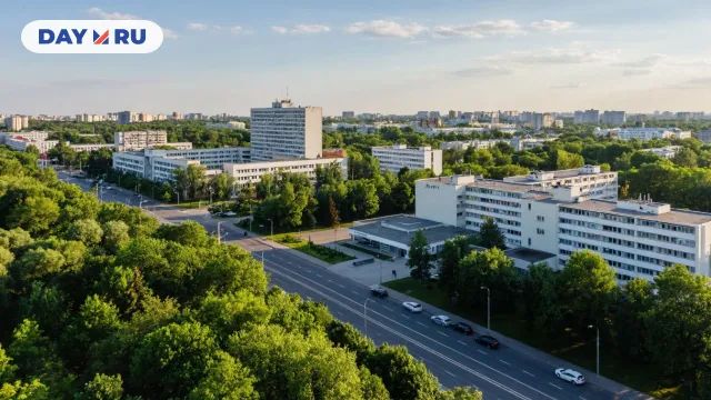 Зеленоград, арт