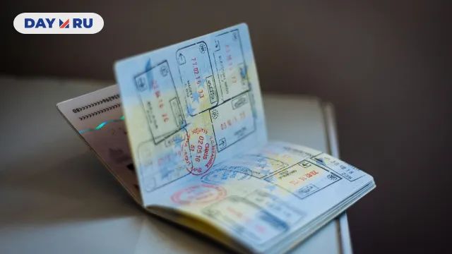 паспорт паспорт