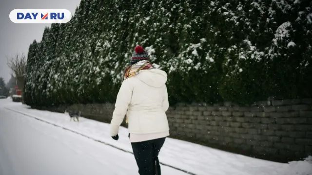 прогулка прогулка