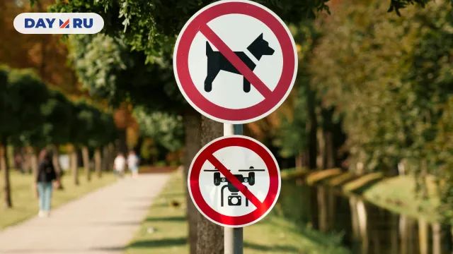 парк парк