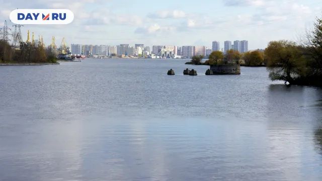 Нагатинская пойма