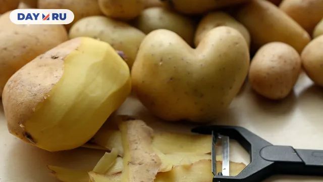 картофель картофель