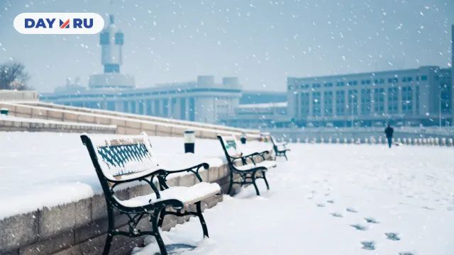 Снег, скамейки