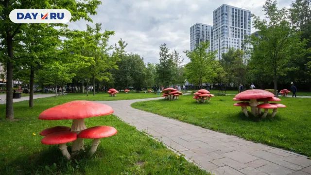 Грибы, Москва