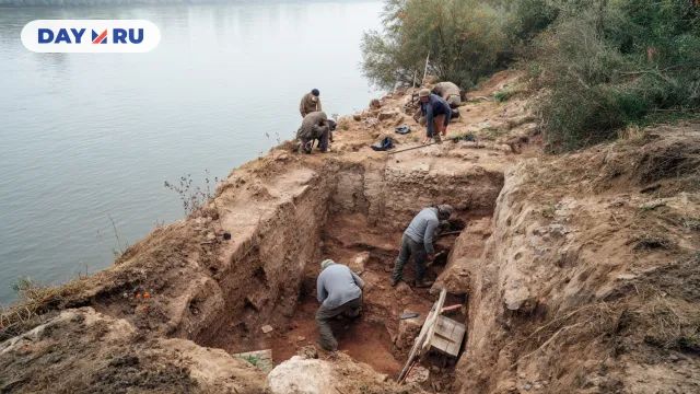 Археологи, арт