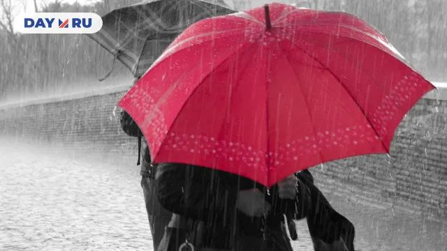 Плохая погода, зонт