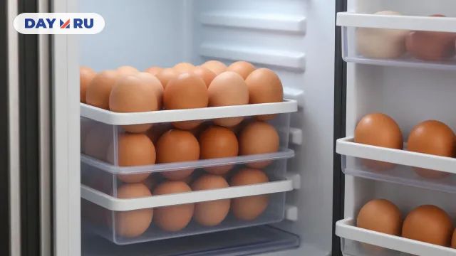Не кладите яйца туда: советы по хранению продуктов