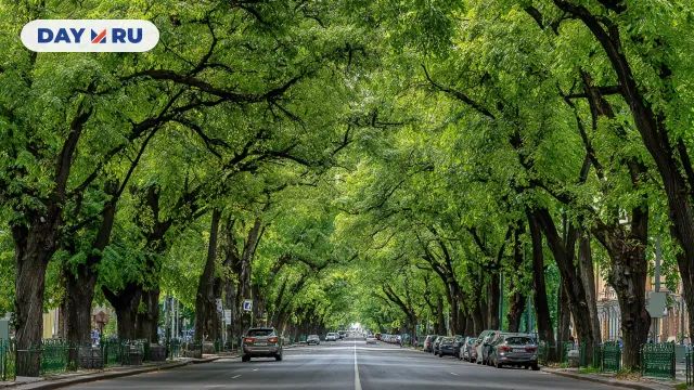 Зеленая улица, арт