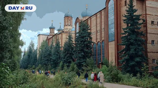 Город в лесу