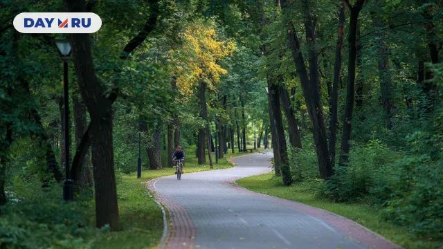 Велодорожка