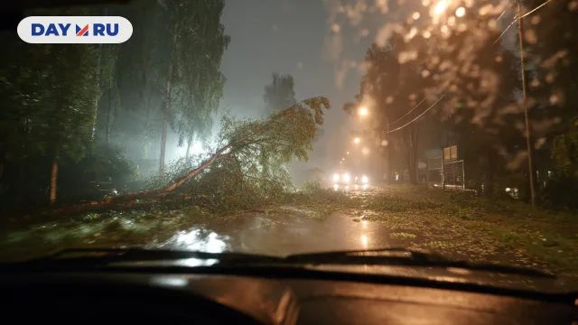 Дорога, шторм