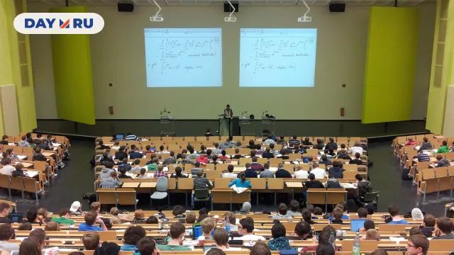 Университет