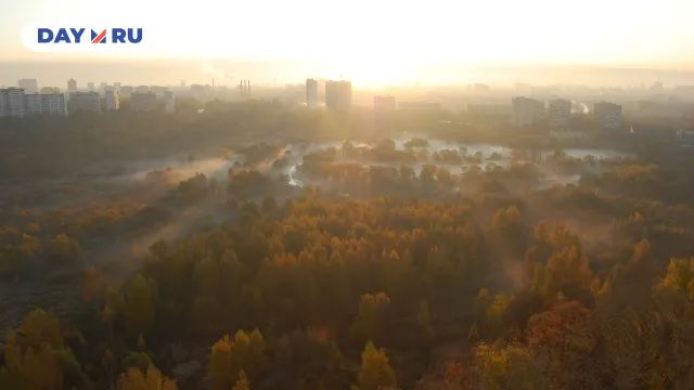 Сходненская чаша