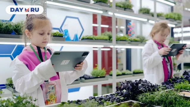 Проект "Я в Агро"