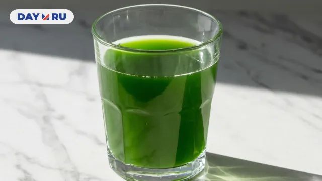Чуть не купила модный хлорофилл ради «детокса», но диетолог остудила мой пыл