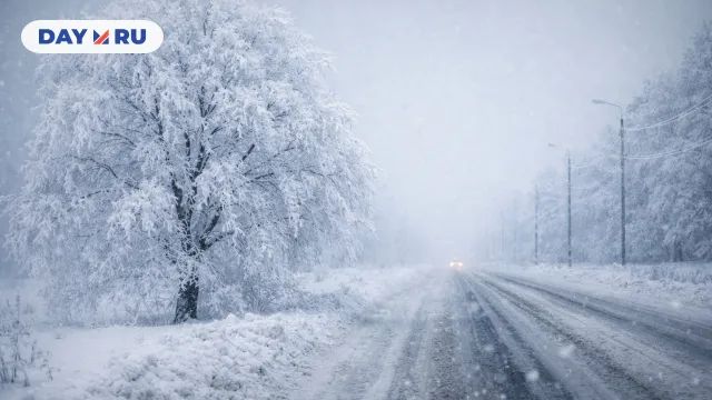 Зимний утренний путь в тумане