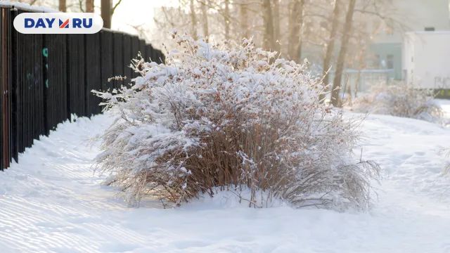 Сугробы, зима
