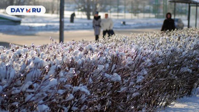 Мороз, город