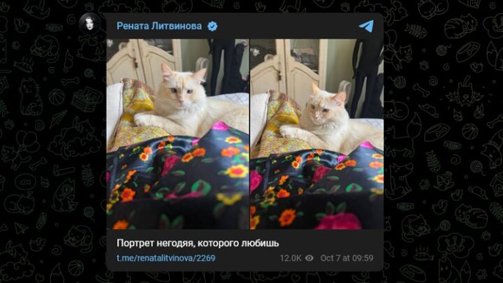 Рената Литвинова показала своего кота